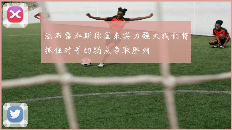 法布雷加斯称国米实力强大我们将抓住对手的弱点争取胜利