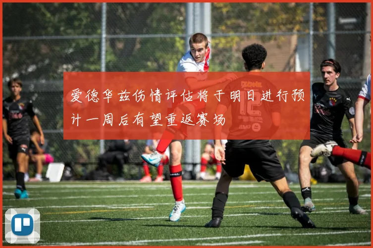爱德华兹伤情评估将于明日进行预计一周后有望重返赛场