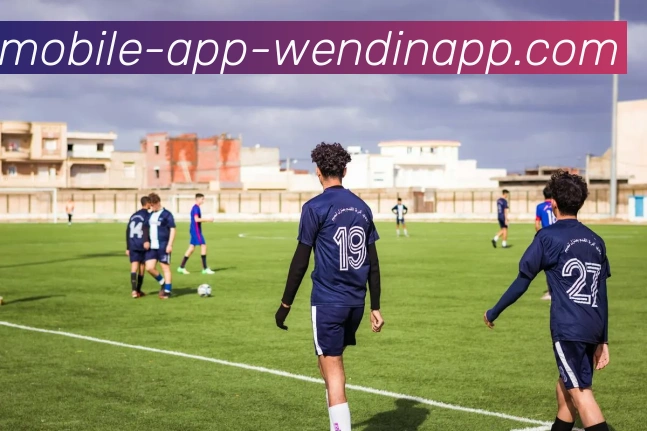 App Interface Preview